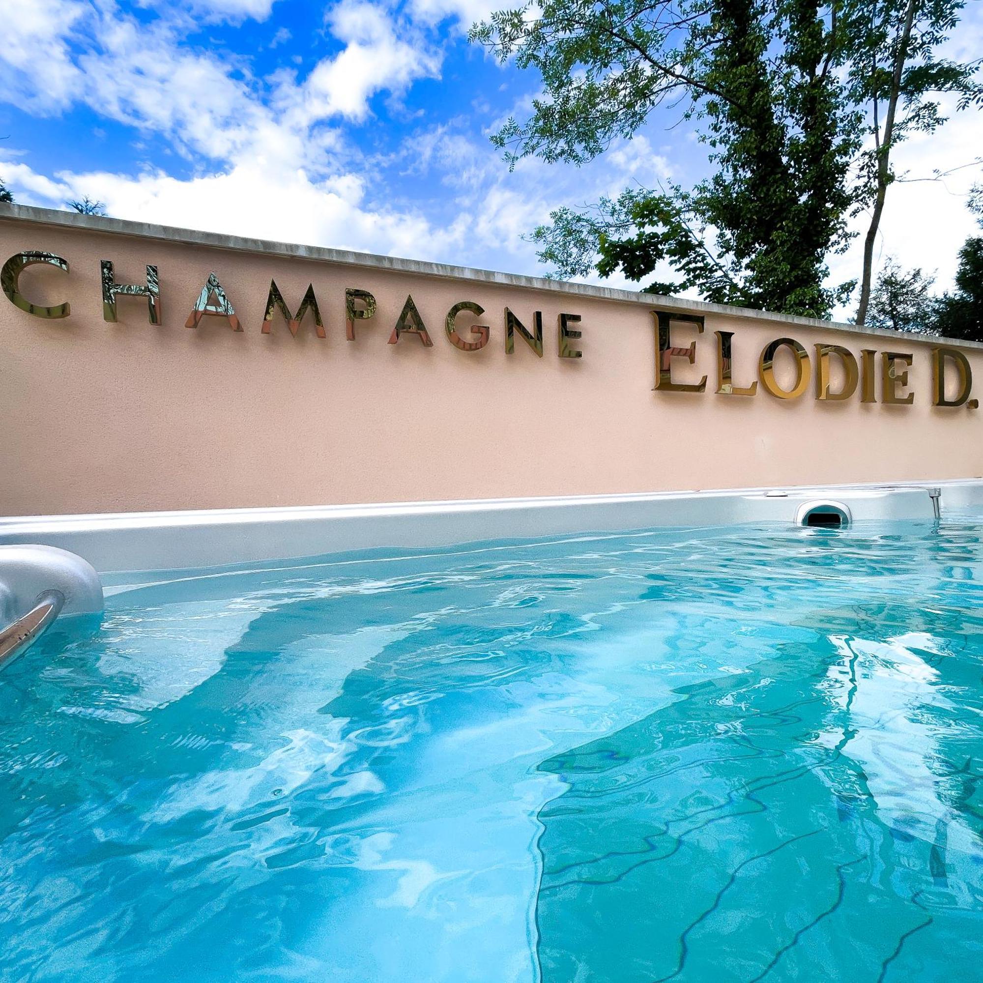 La Demeure D'Elodie Épernay Exterior foto